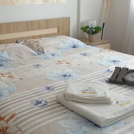 Zlatiborska Zvezda *