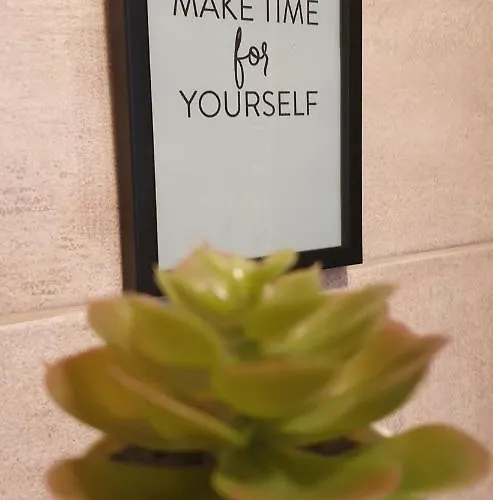 Zlatiborska Zvezda *