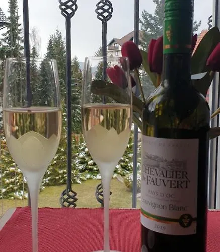 Zlatiborska Zvezda * 즐라티보